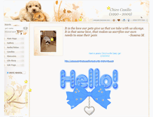 Tablet Screenshot of chicocasillo.pets-memories.com
