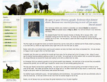 Tablet Screenshot of buster-frenchbulldog.pets-memories.com